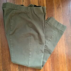 Everlane high rise skinny side zip cigarette pants